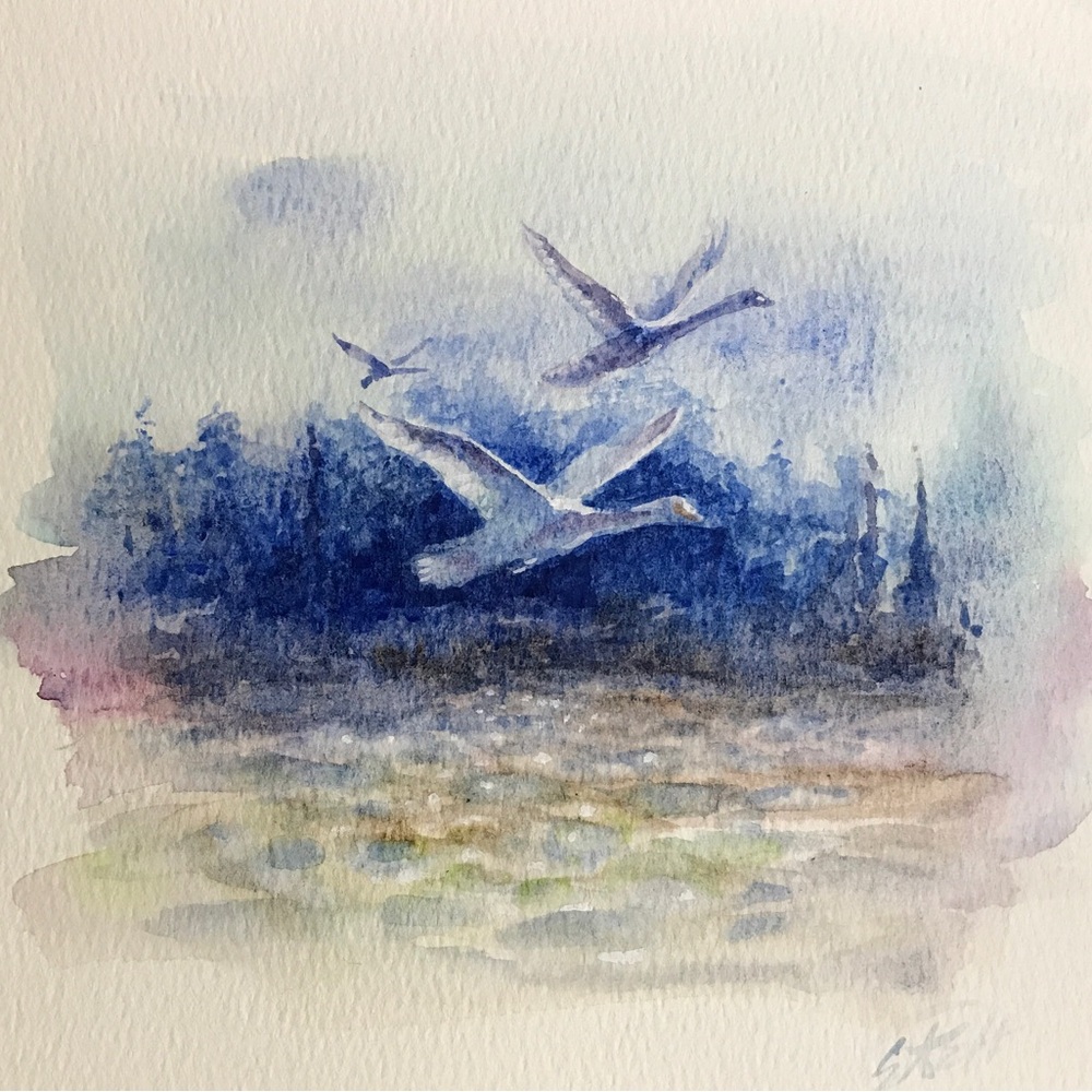 Original Swan Painting Watercolor Art Bird Landscape Small Artwork cottage core - Picture 3 of 8